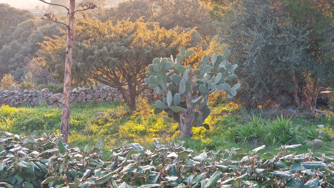 Вилла Rifugio Monte Pino Telti Экстерьер фото